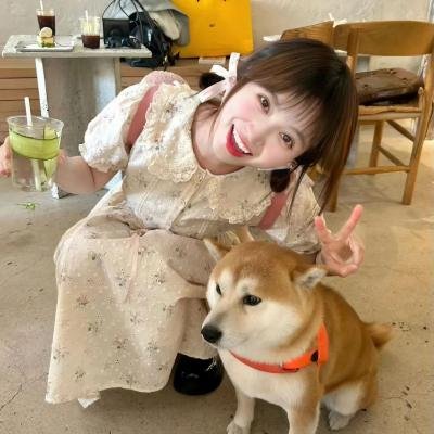 竞选风云